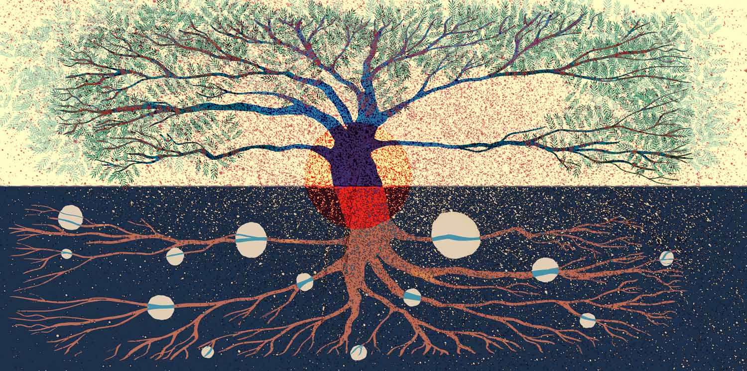 Małgorzata Cichocka - Palestyna, mural - 1. nagroda