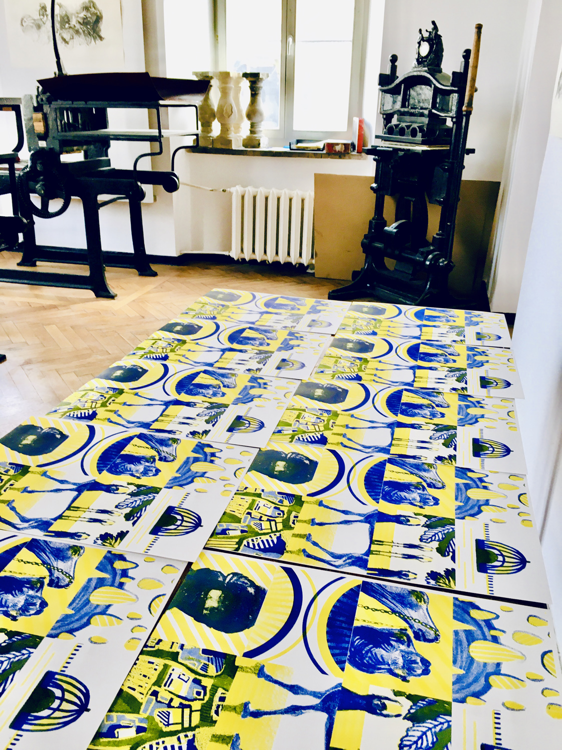 Anhelina Siameika - zin - impozycja