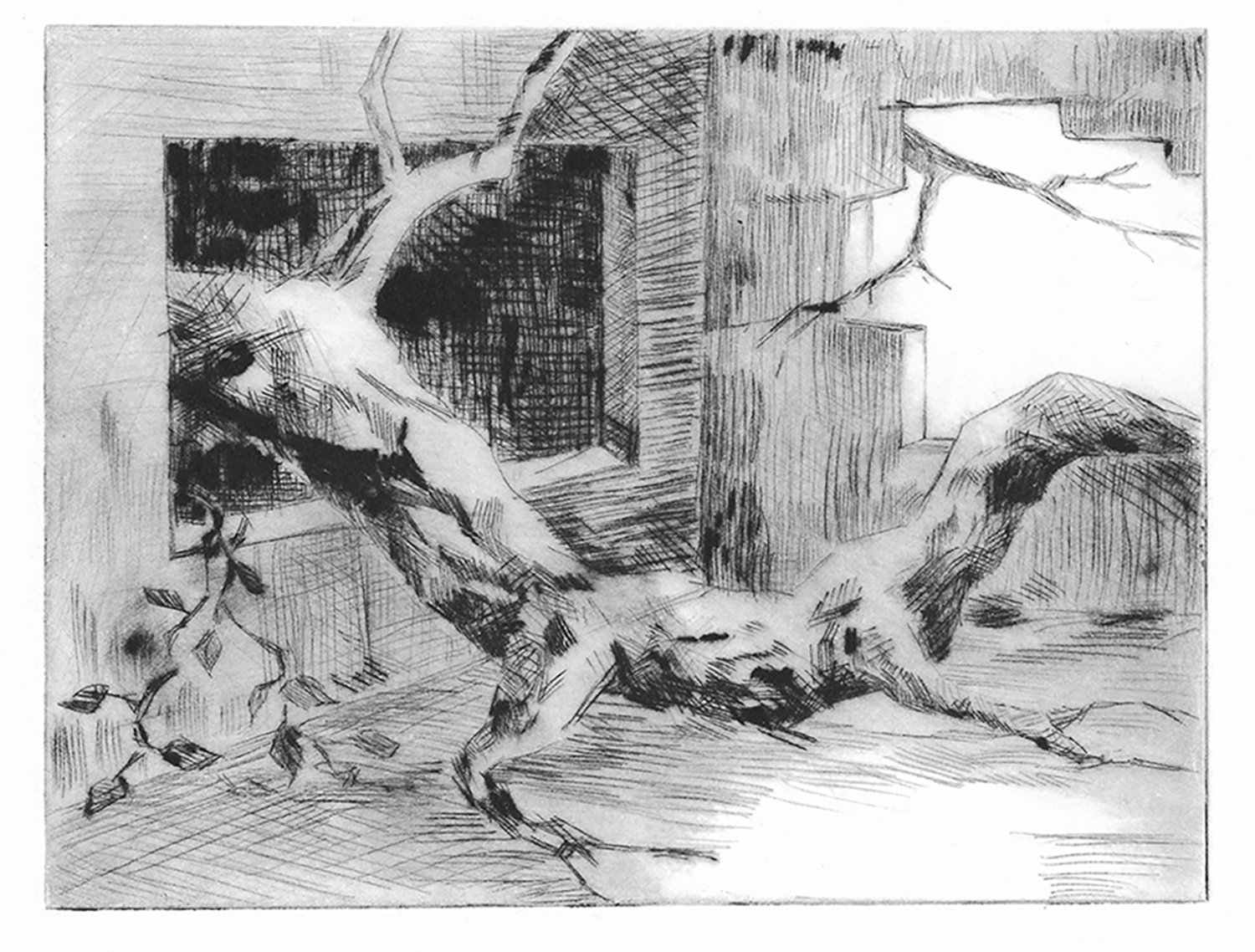 Aleksandra Sowińska - Wnętrze