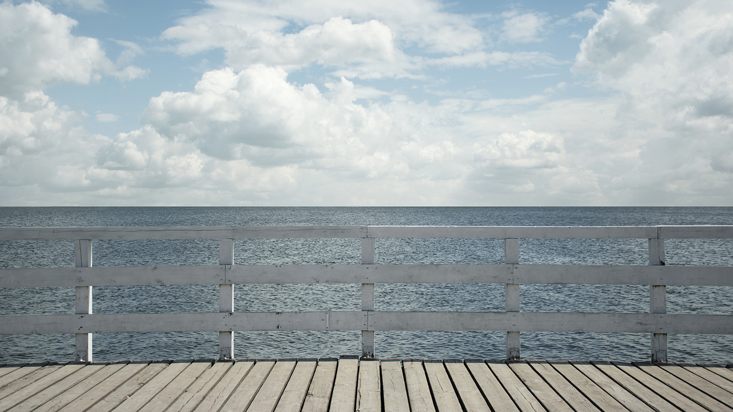 Joanna Smogorzewska - kadry filmowe