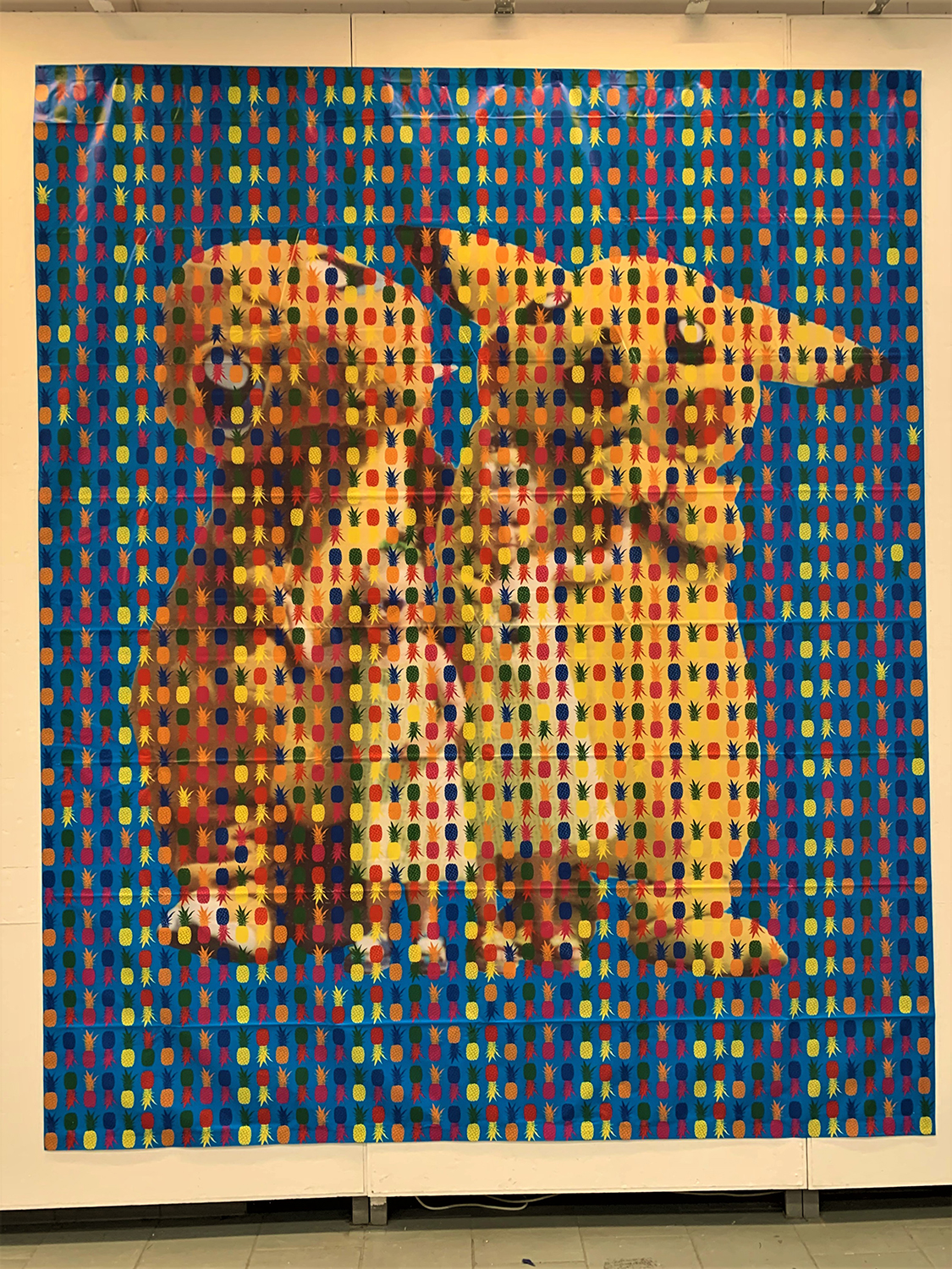 Kasia Iwańczuk - Ananas Affluenza - licencjat