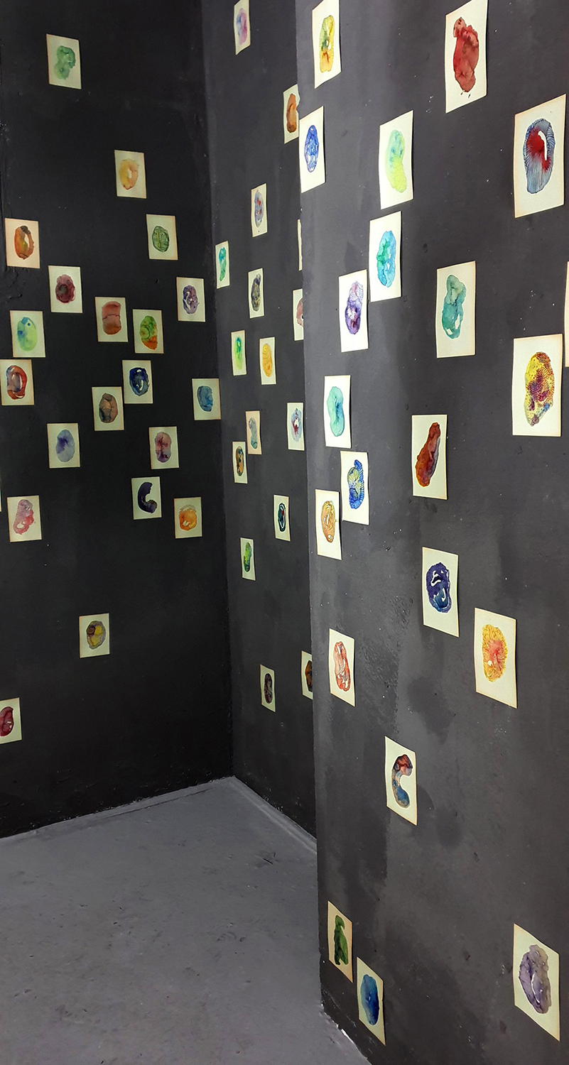 Maria Jańczak - wystawa