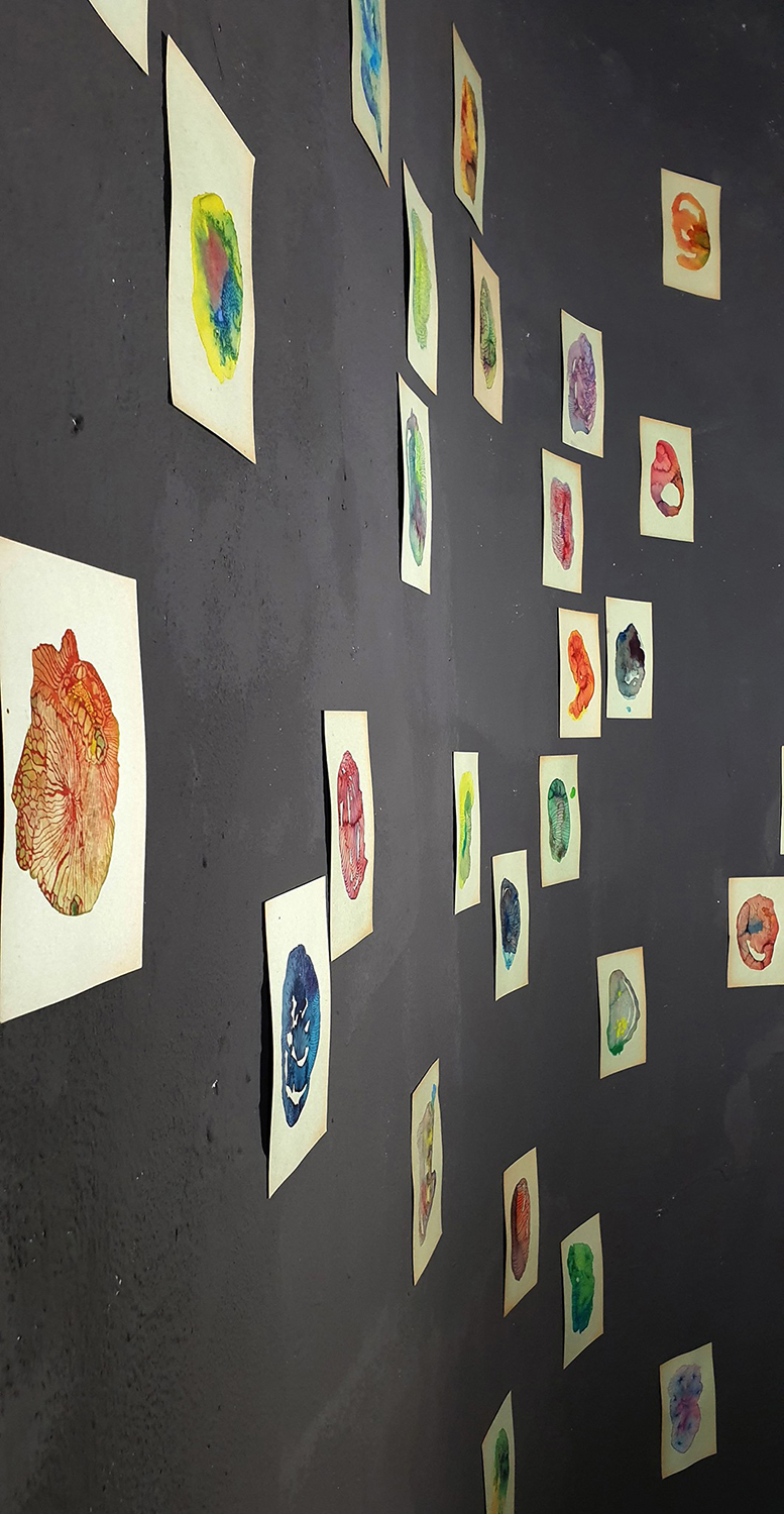 Maria Jańczak - wystawa