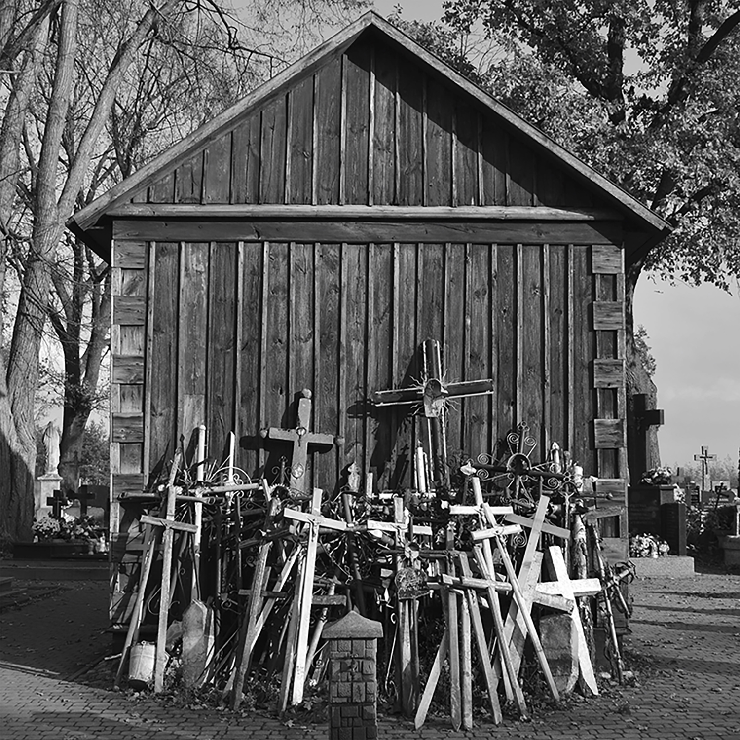 Sebastian Murza - Symetria