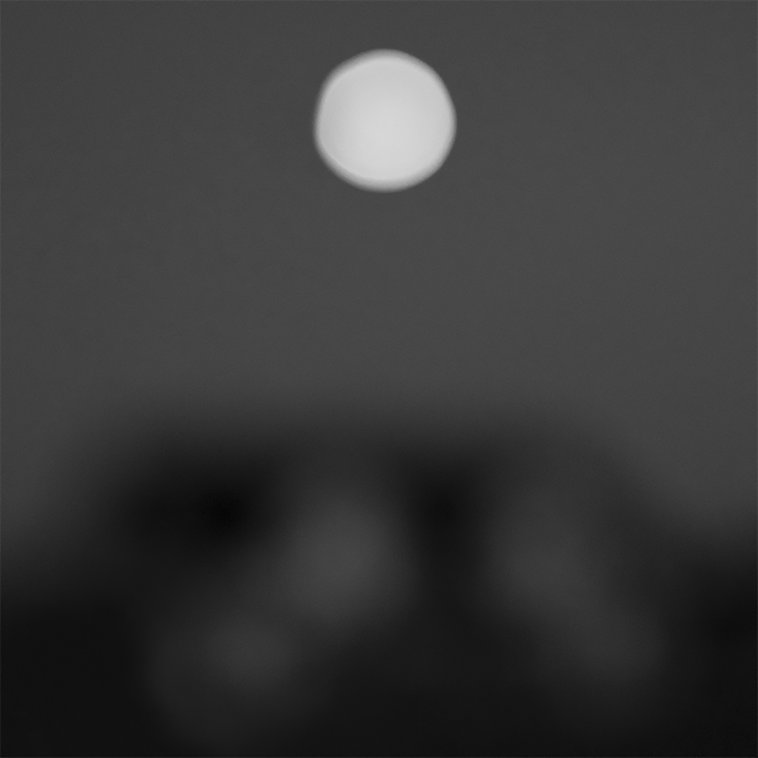 Wiktoria Merchel - Symetria