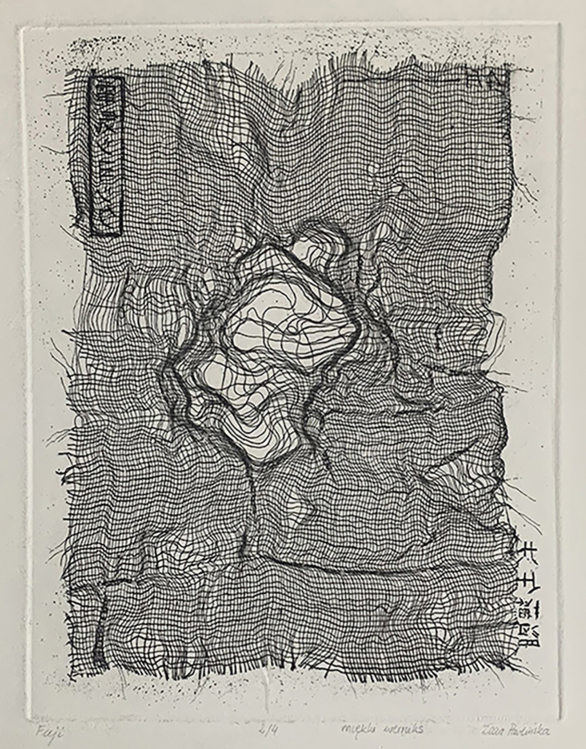 Zofia Pawlińska - Fuji