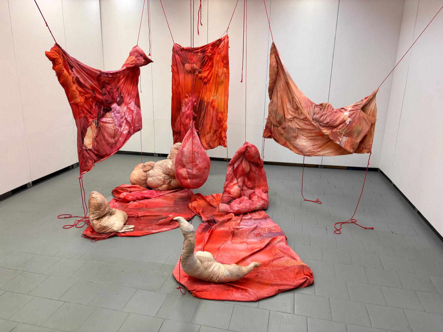 Instalacja obiektów o cechach anatomicznych wykonanych z barwionych na czerwono tkanin