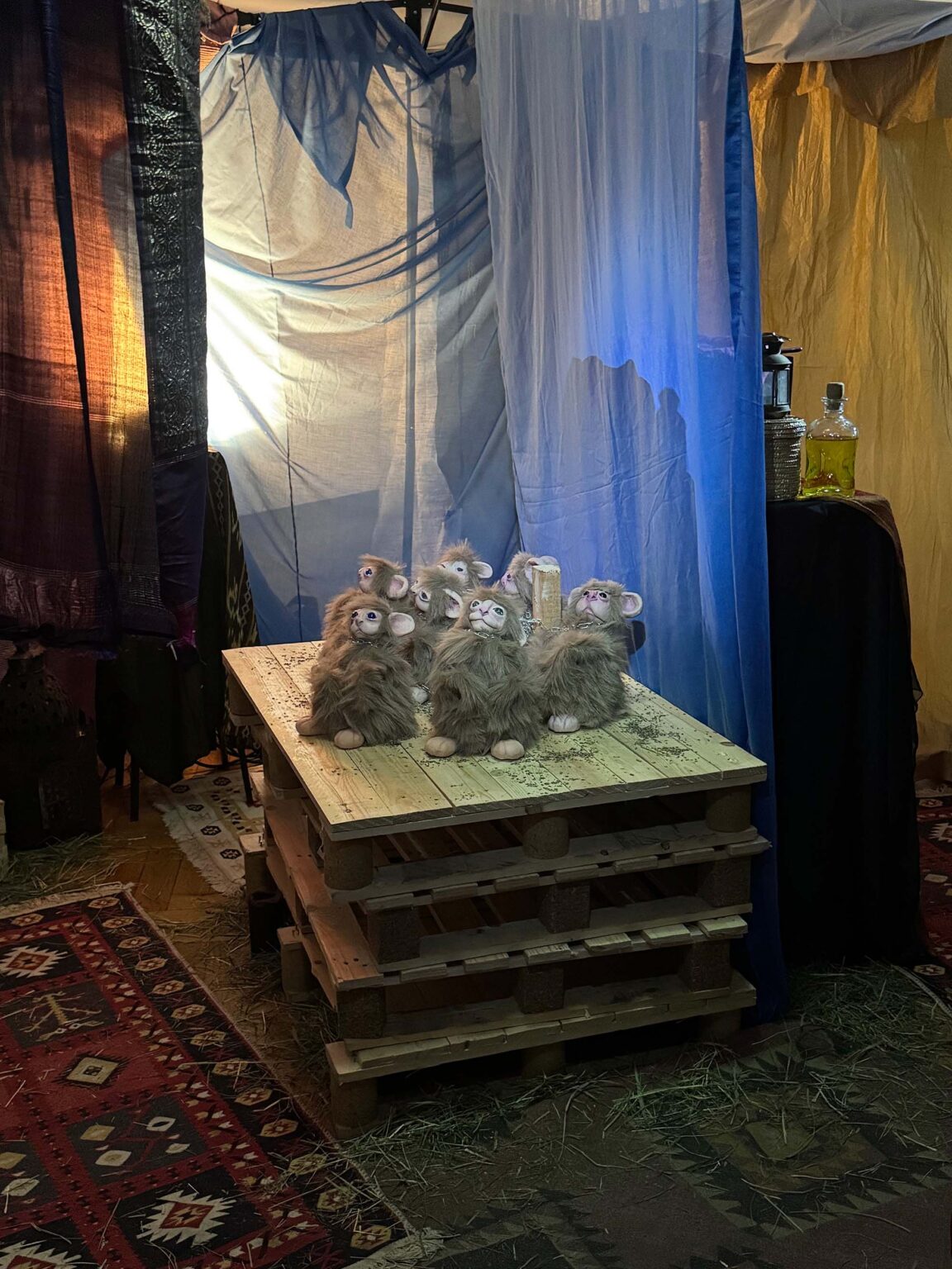 Widok wystawy dyplomowej