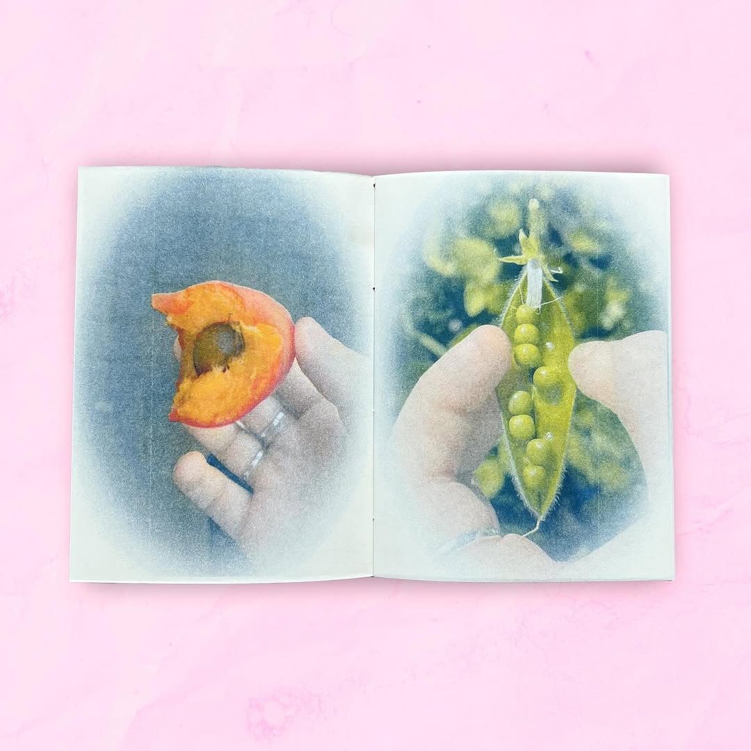 Po lewej: ręka trzymająca nadgryzioną brzoskwinię, po prawej: ręka trzymająca strączek grochu