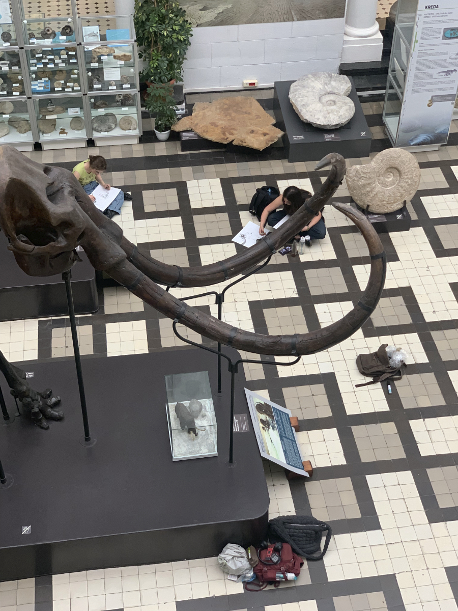 fragment ekspozycji z Muzeum Geologicznego - mamut