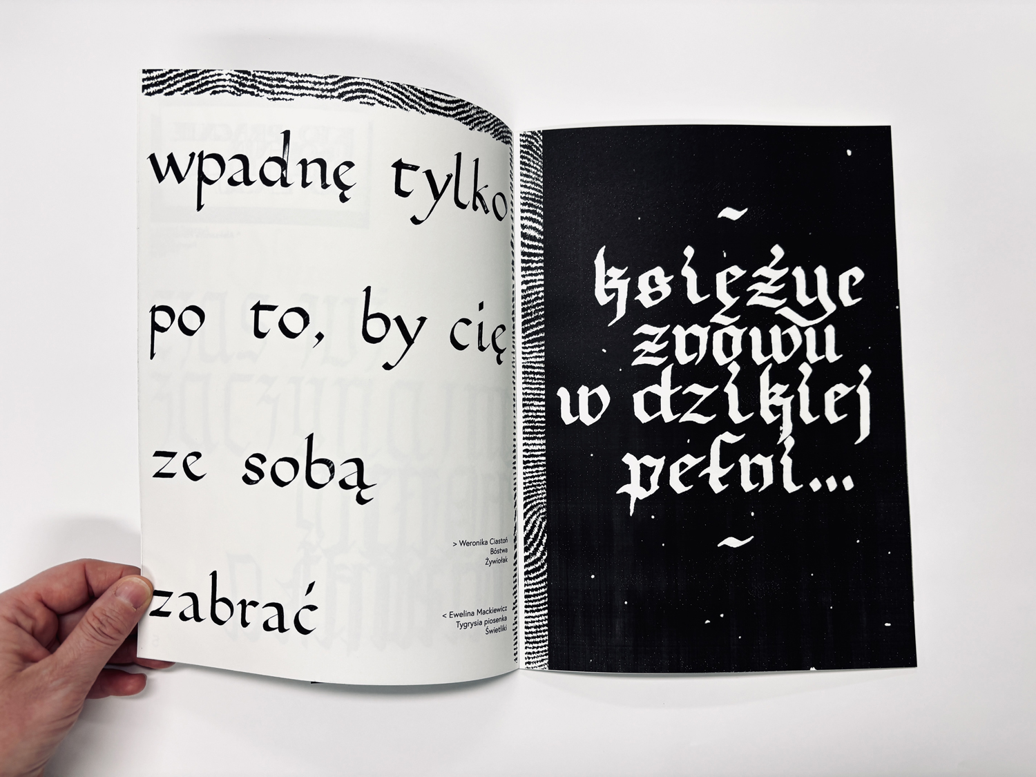 Katalog z dwiema stronami rozkładówki
